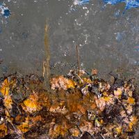 2026, 100x100cm